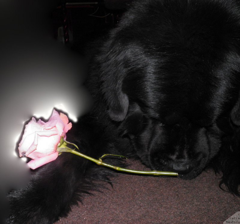 Фотография № 139474