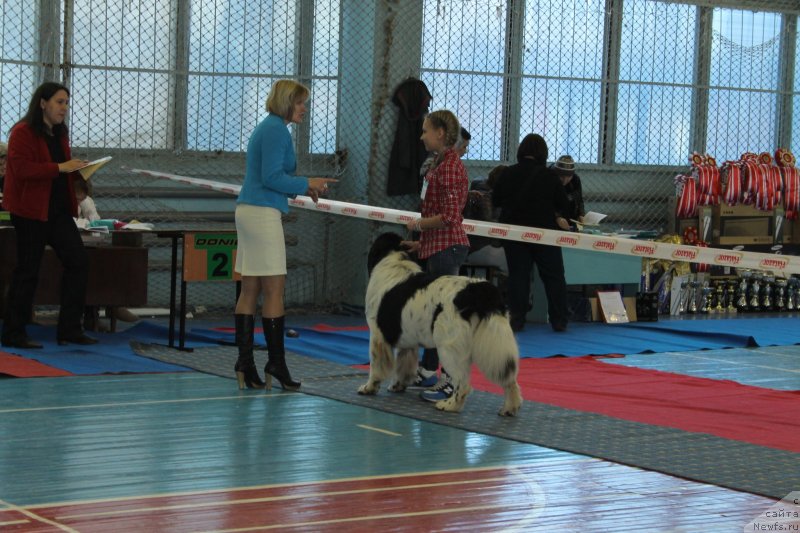 Фотография № 139488