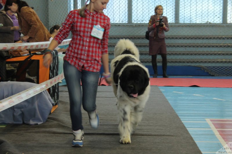 Фотография № 139489