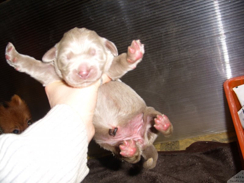 Фотография № 139508