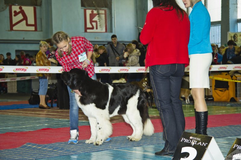 Фотография № 139528