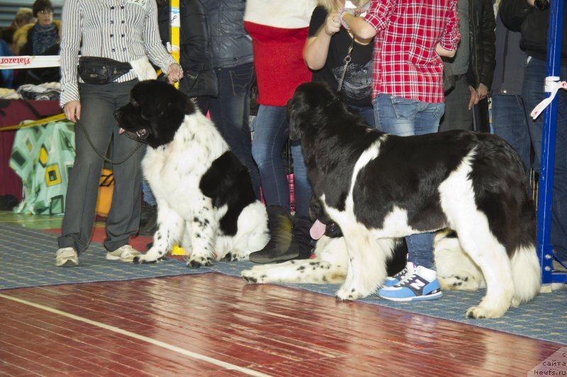 Фотография № 139529