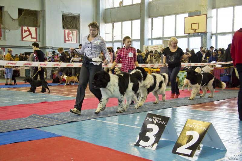 Фотография № 139530