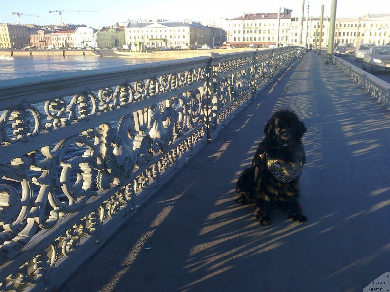 Фотография № 139539