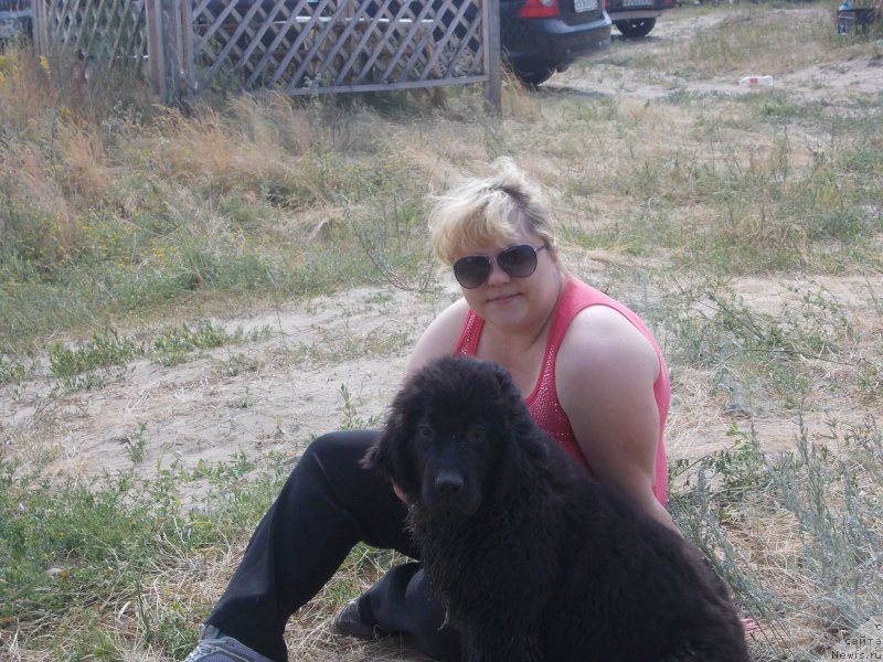 Фото: ньюфаундленд Интрига Ночи от Марлеон Дусвик, Оксана Конопельцева