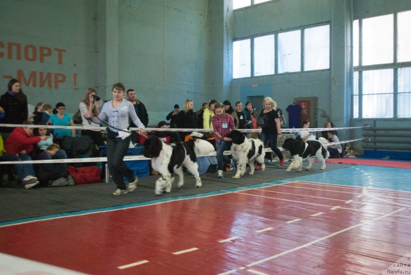 Фотография № 139552