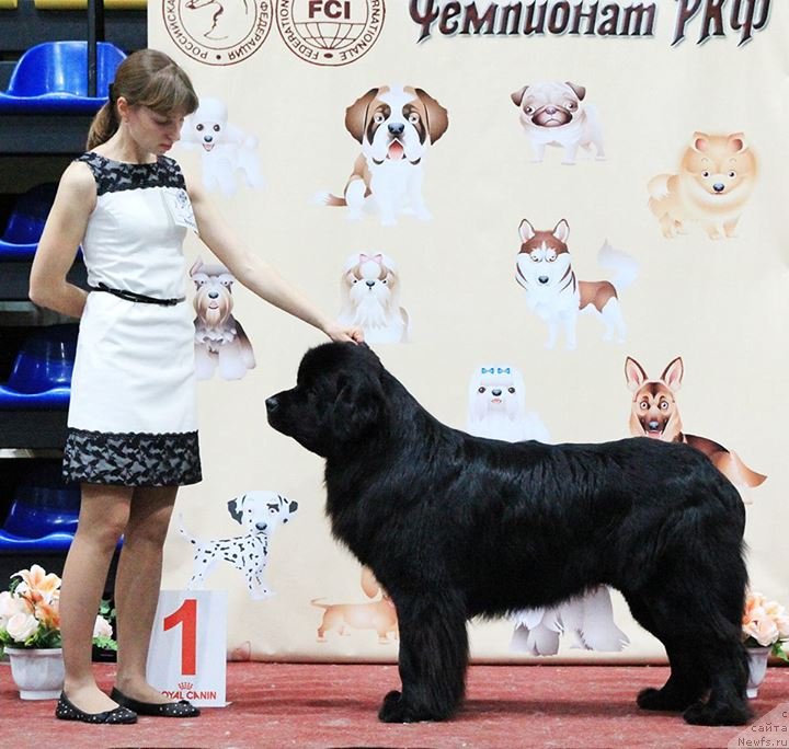 Фотография № 139558