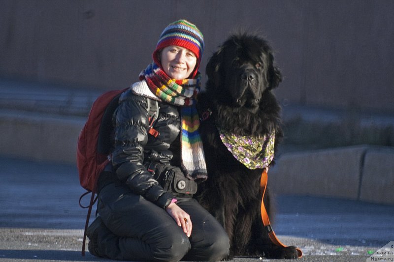 Фотография № 139589