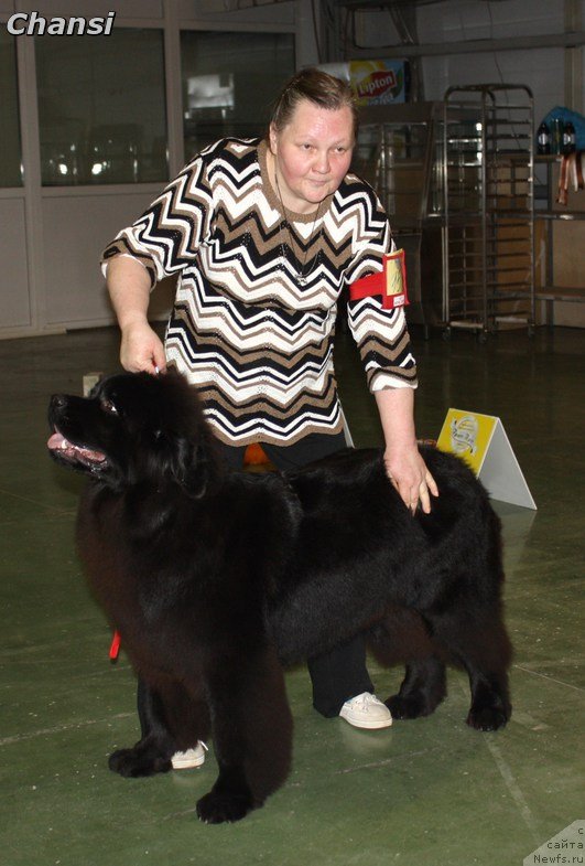 Фотография № 139625