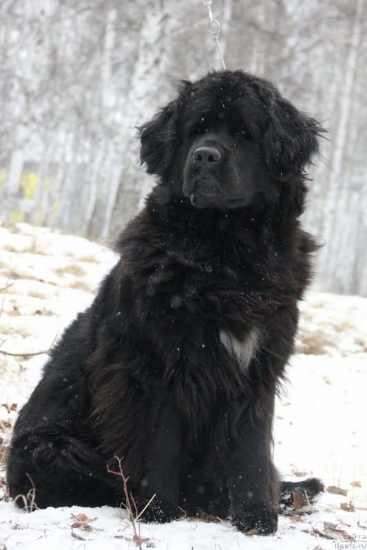 Фотография № 139629