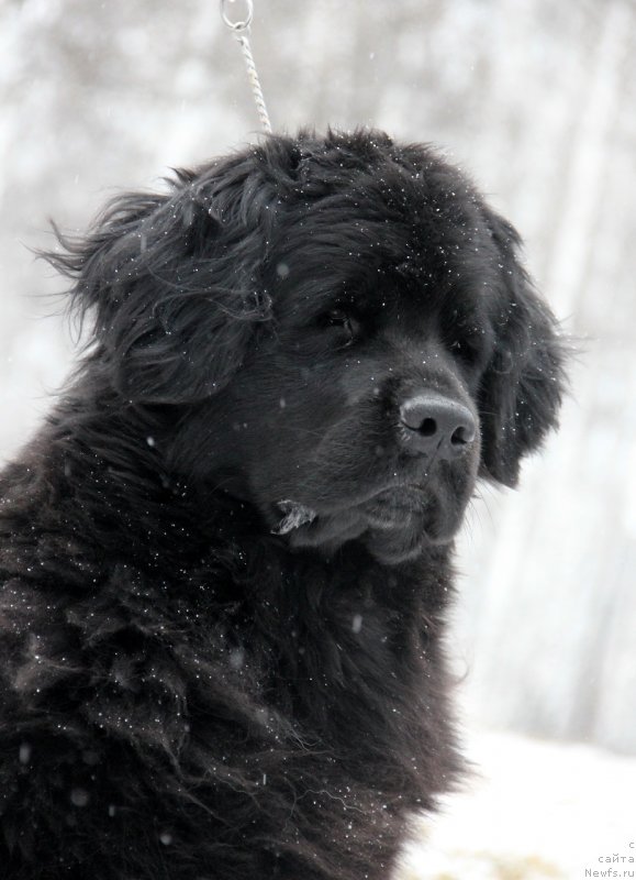 Фотография № 139630