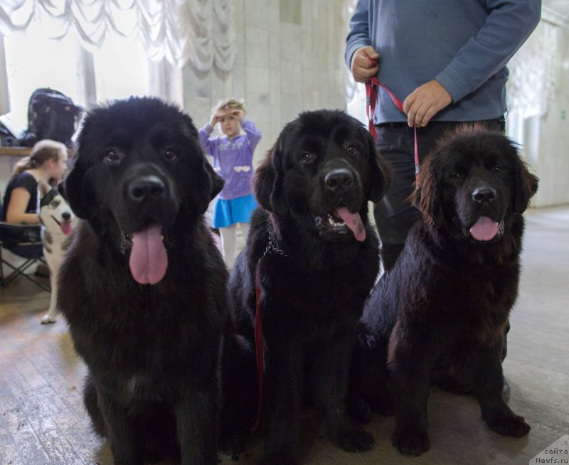 Фотография № 139634