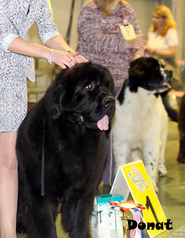 Фотография № 139645