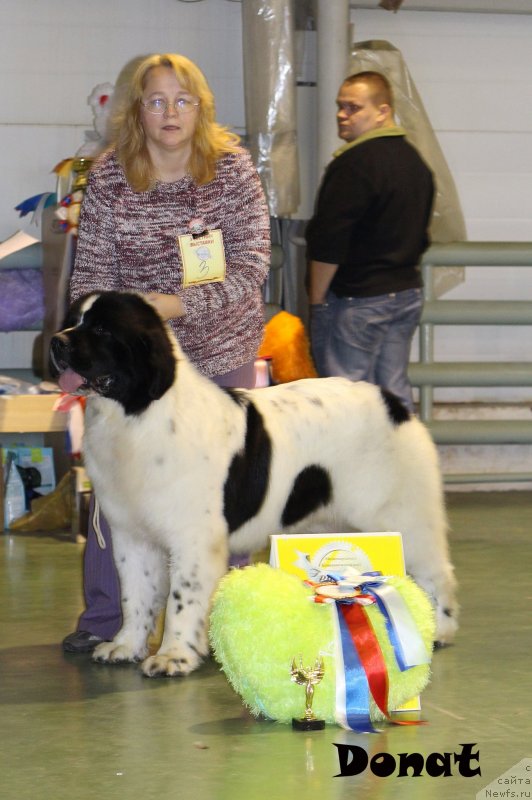 Фотография № 139646