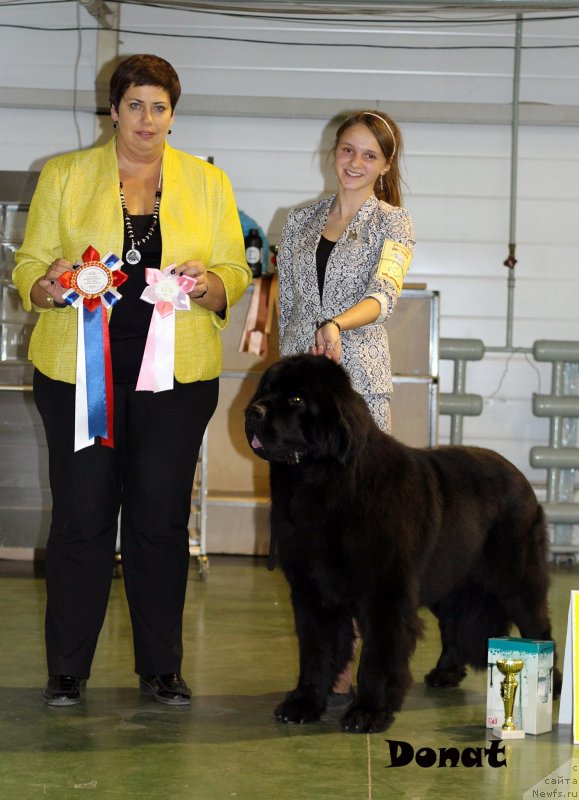 Фотография № 139647