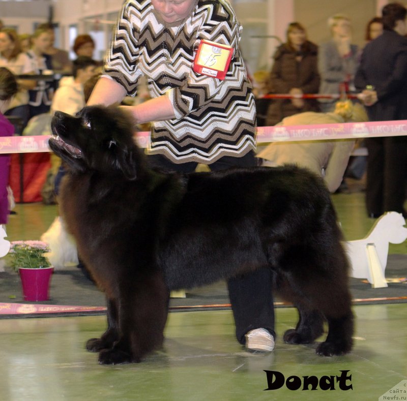 Фотография № 139648