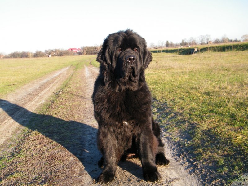 Фотография № 139650