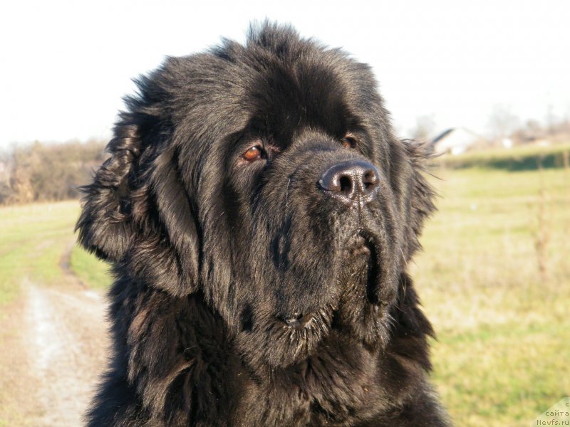 Фотография № 139651