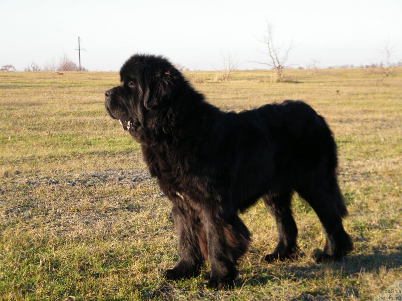 Фотография № 139652