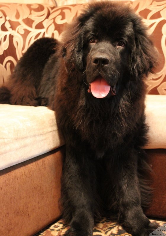 Фотография № 139680