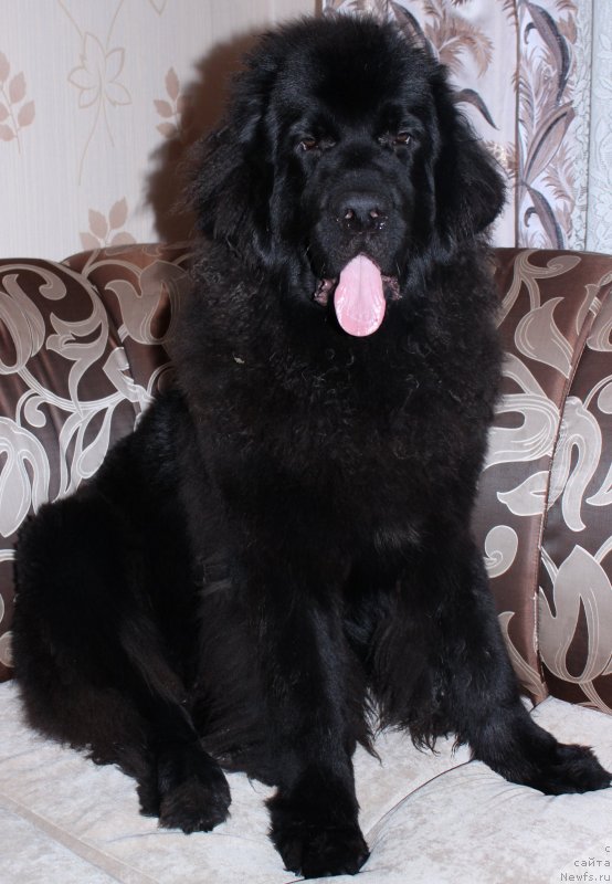 Фотография № 139684