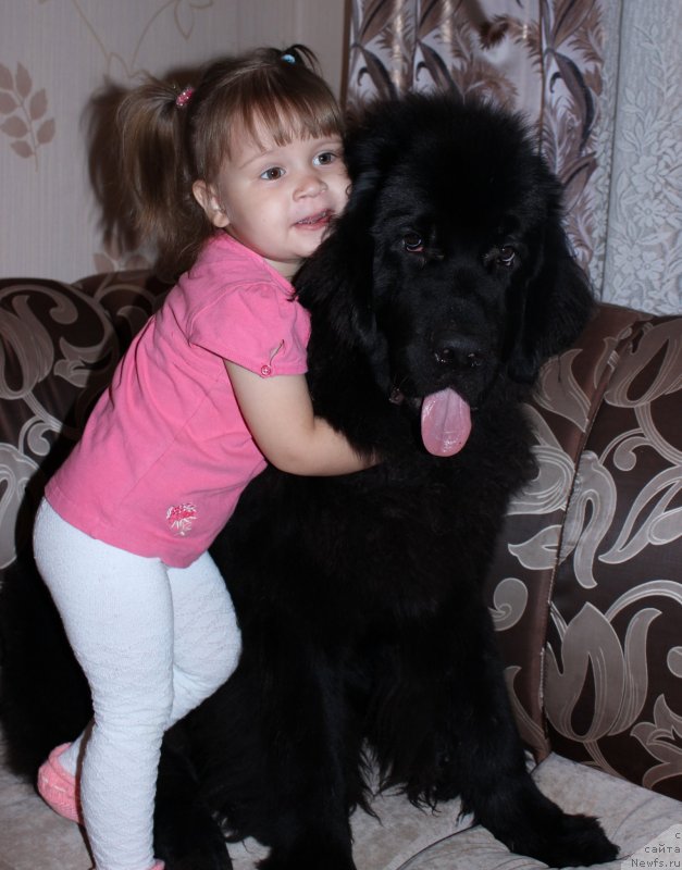 Фотография № 139685