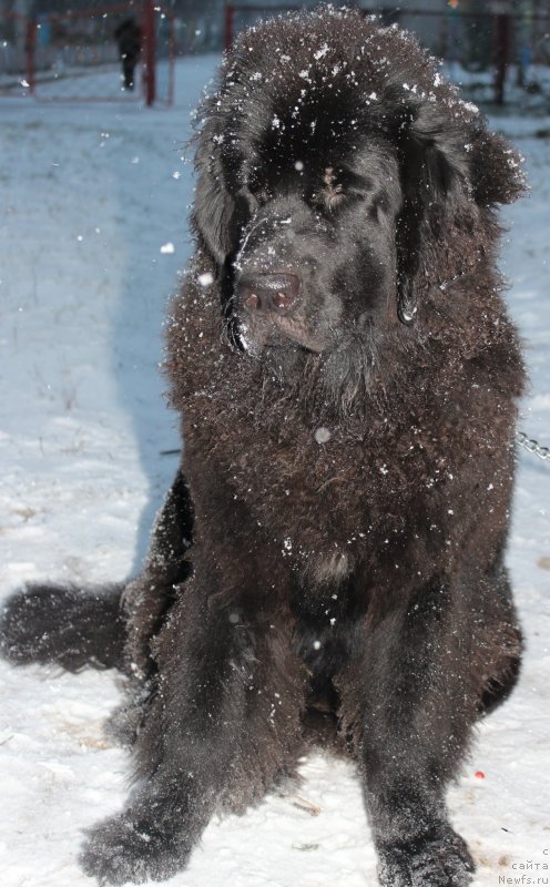 Фотография № 139689