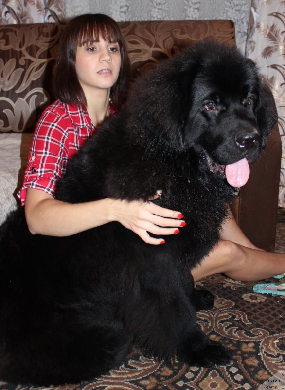 Фотография № 139690