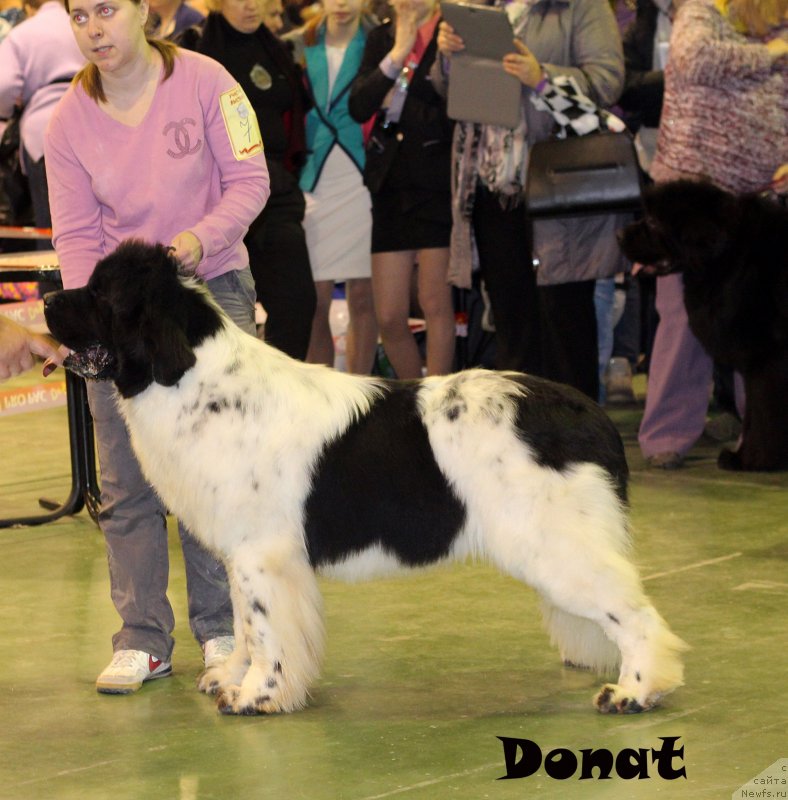 Фотография № 139721