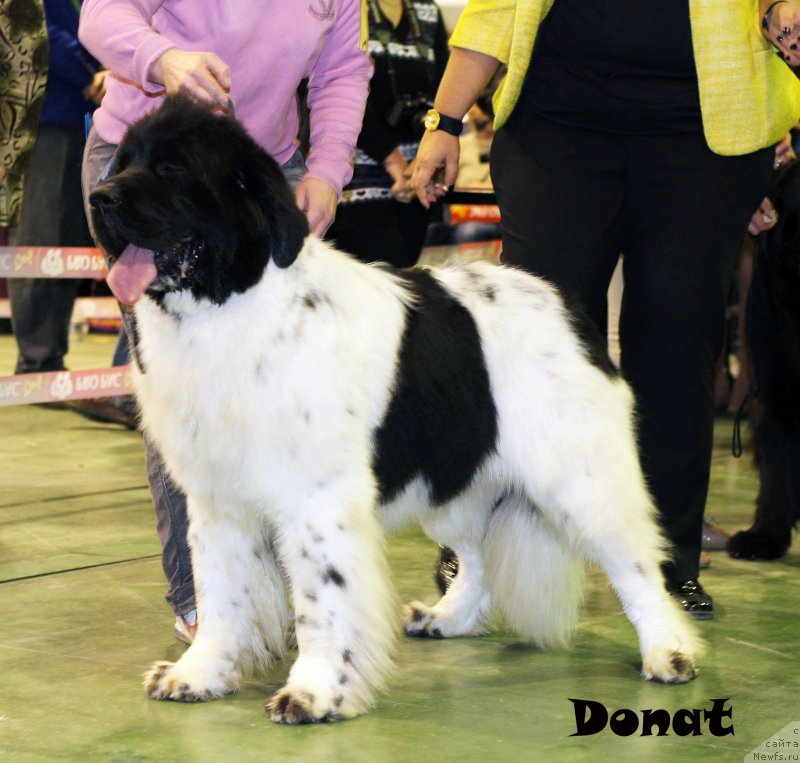 Фотография № 139722