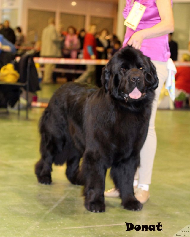 Фотография № 139729