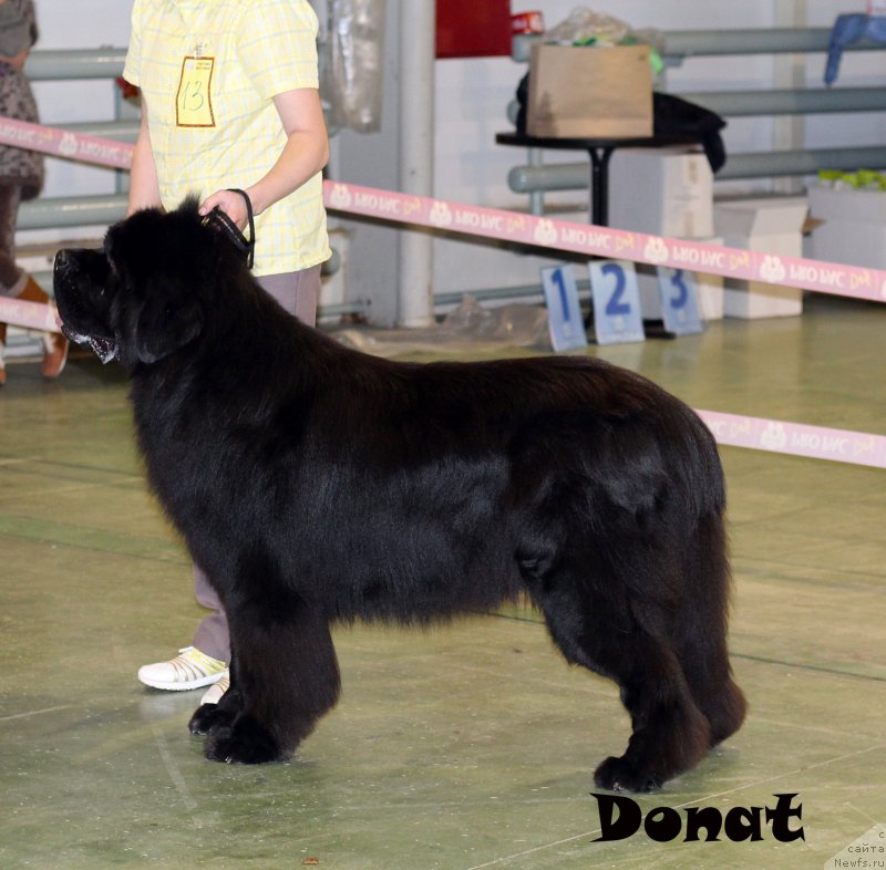 Фотография № 139737