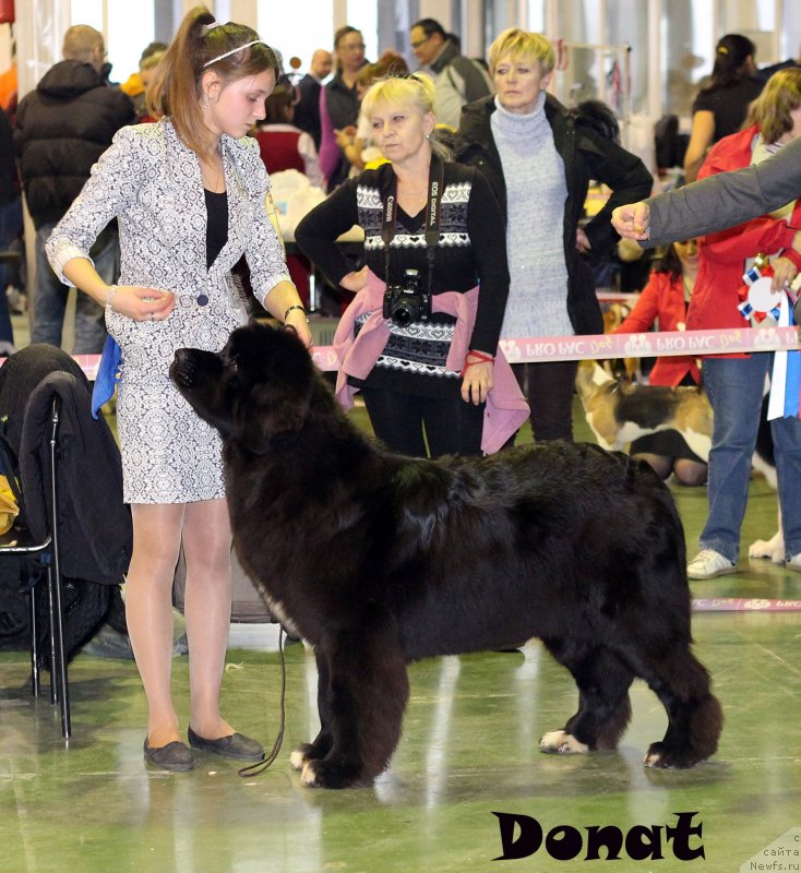 Фотография № 139741