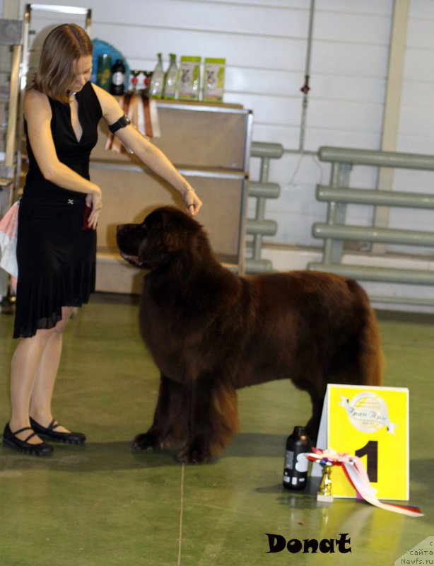 Фотография № 139745