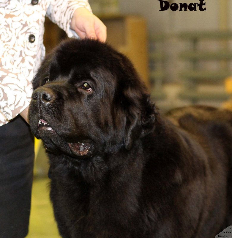 Фотография № 139748