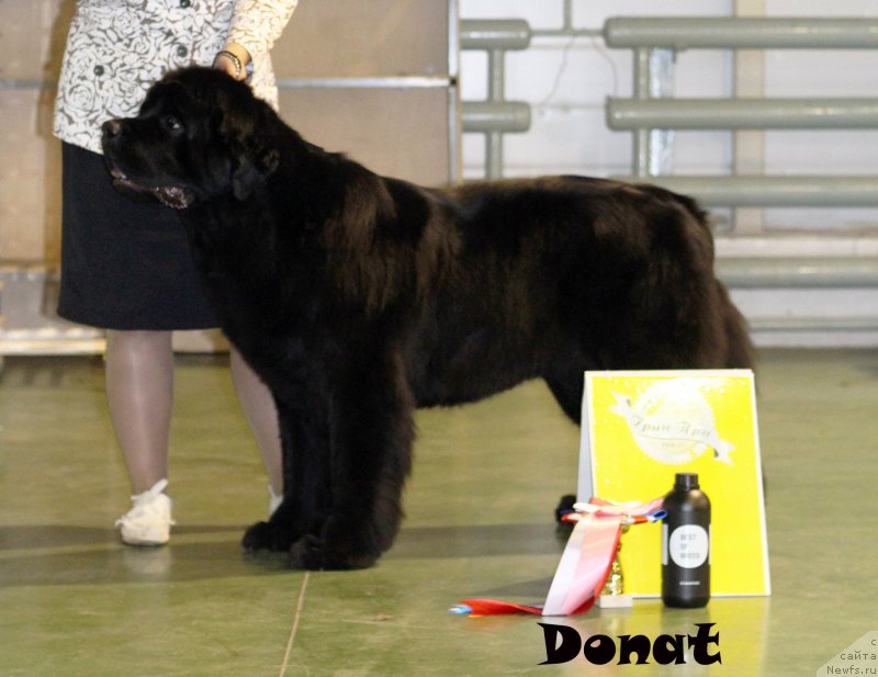 Фотография № 139749