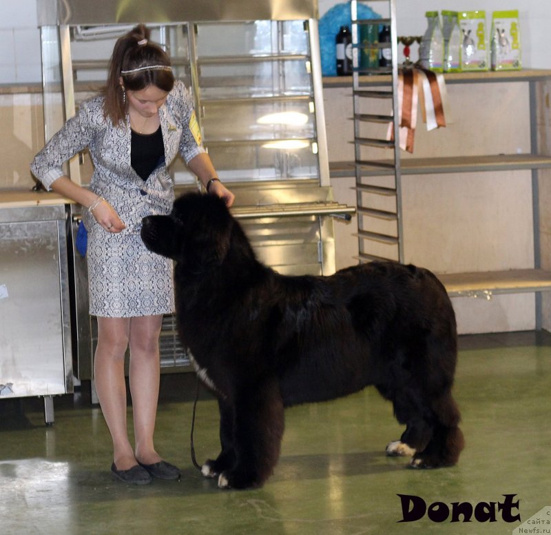 Фотография № 139751