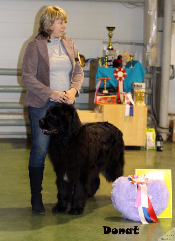 Фотография № 139752