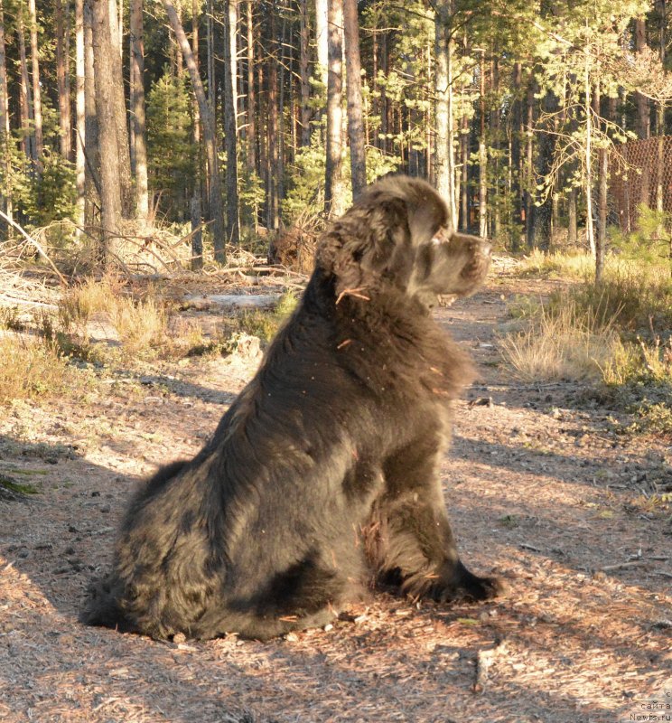 Фотография № 139756