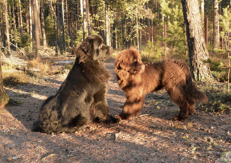 Фотография № 139759