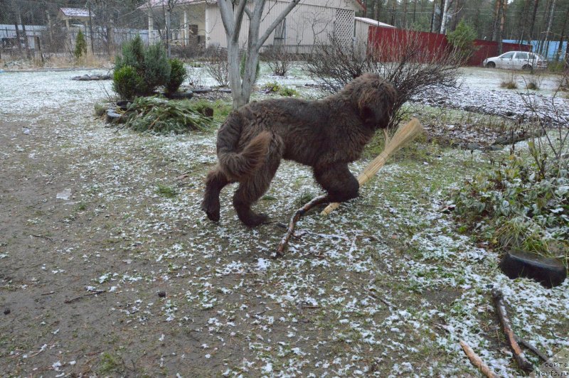 Фотография № 139760