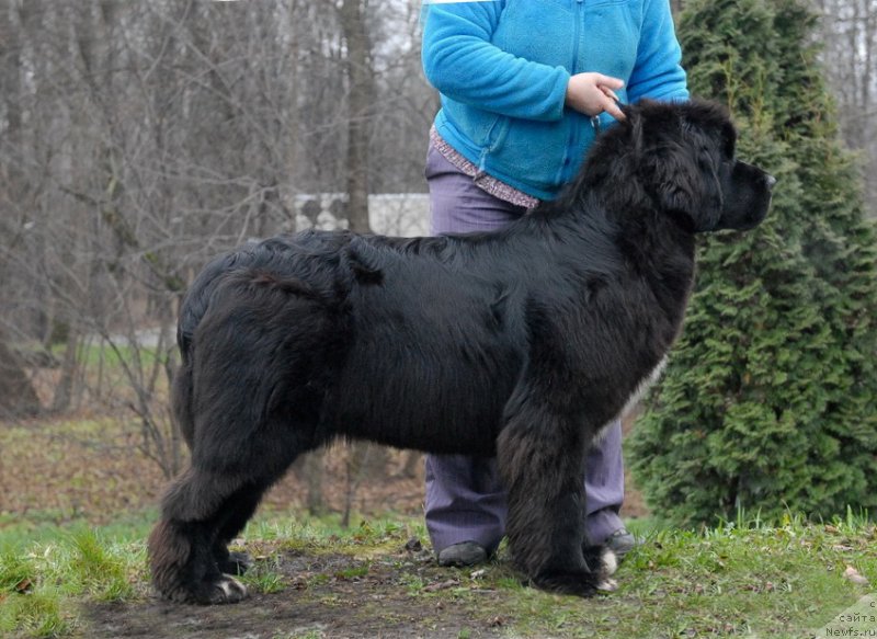 Фотография № 139763