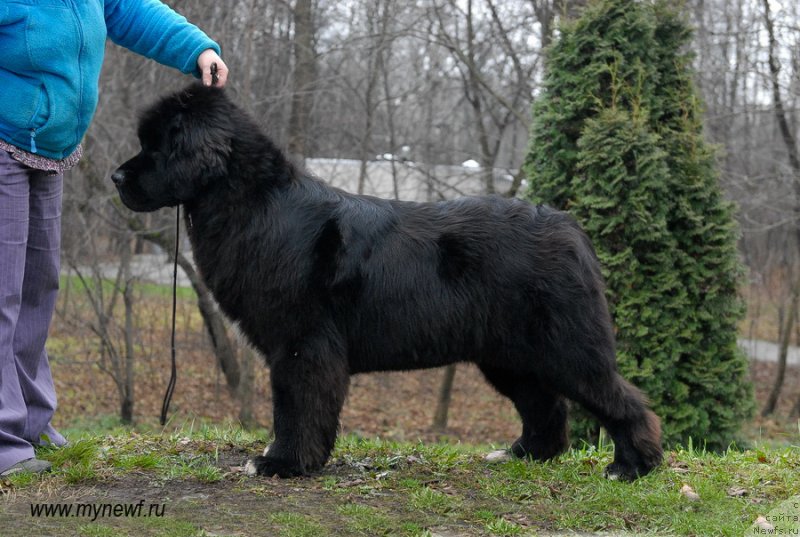 Фотография № 139764