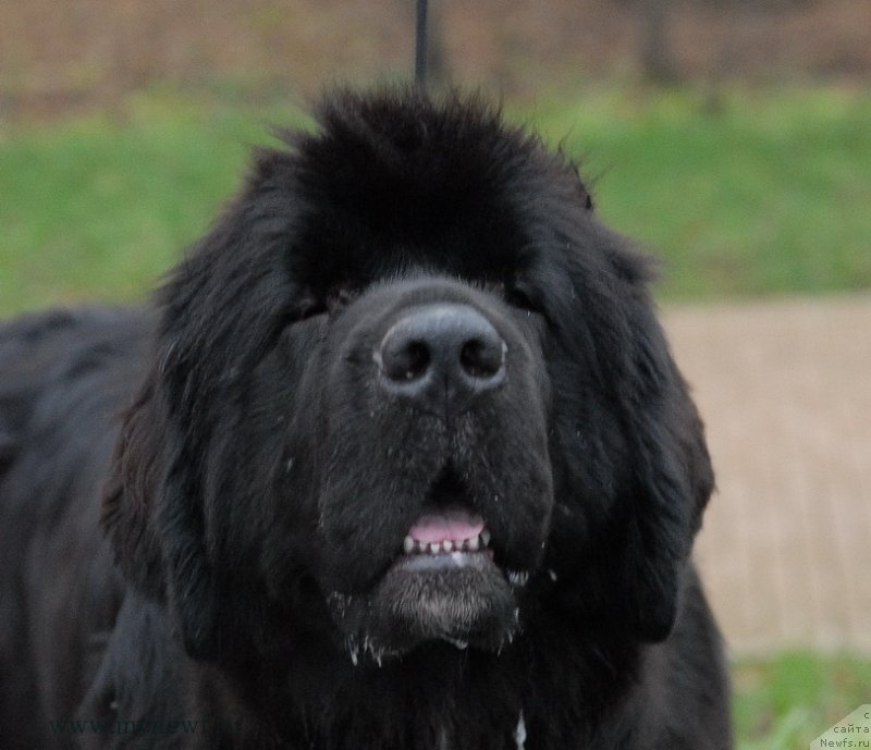 Фотография № 139767