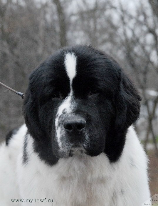 Фотография № 139799