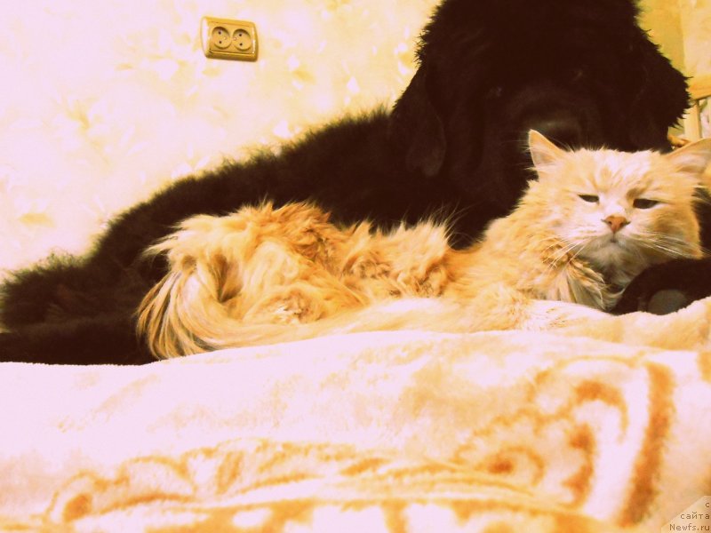 Фотография № 139883