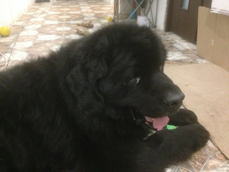 Фотография № 139895