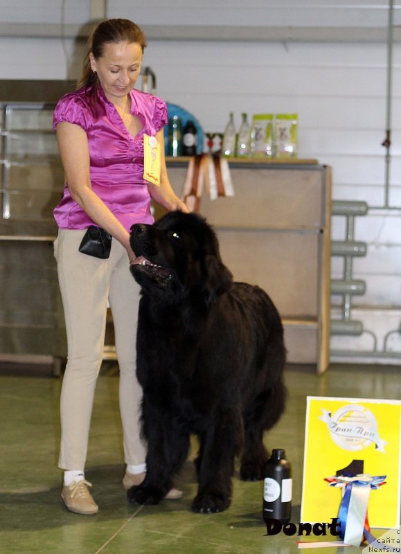 Фотография № 139896