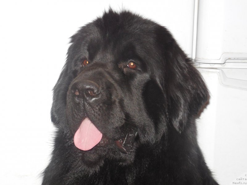 Фотография № 139898