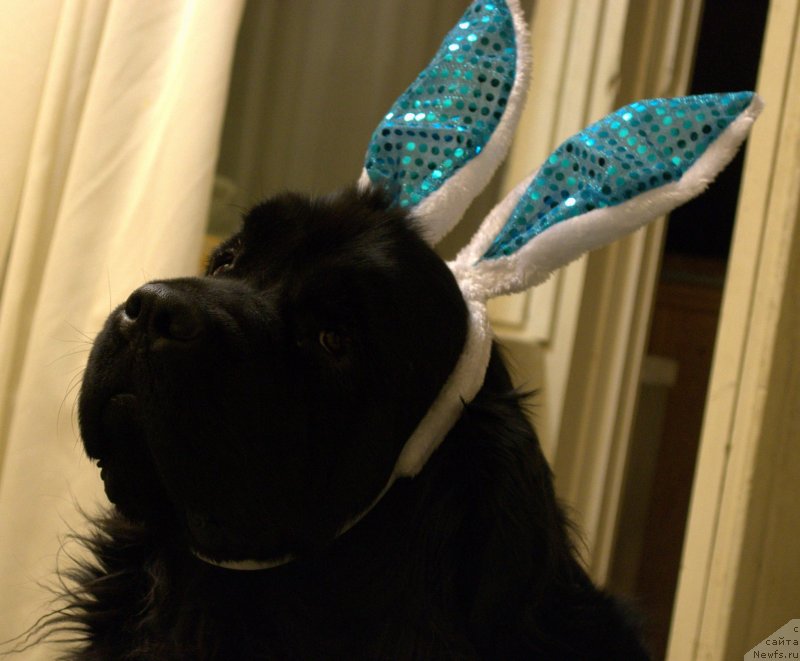 Фотография № 139908